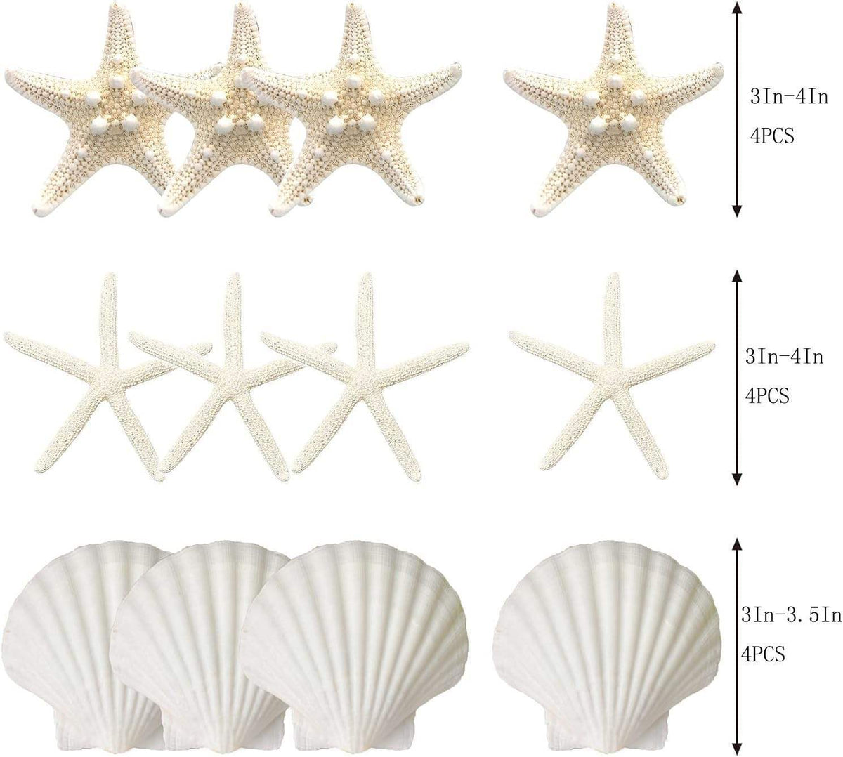 12PCS 3-4 Inches Large Starfish And Scallop Shells For Crafts