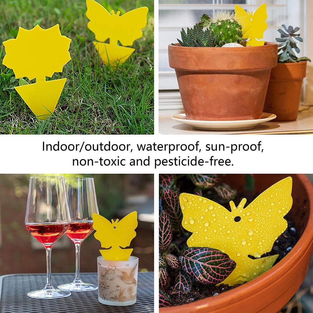 18 pcs, 48 pcs Sticky Fruit Fly Traps, Non-Toxic Fungus Gnat Killer Trap use for Indoor Outdoor