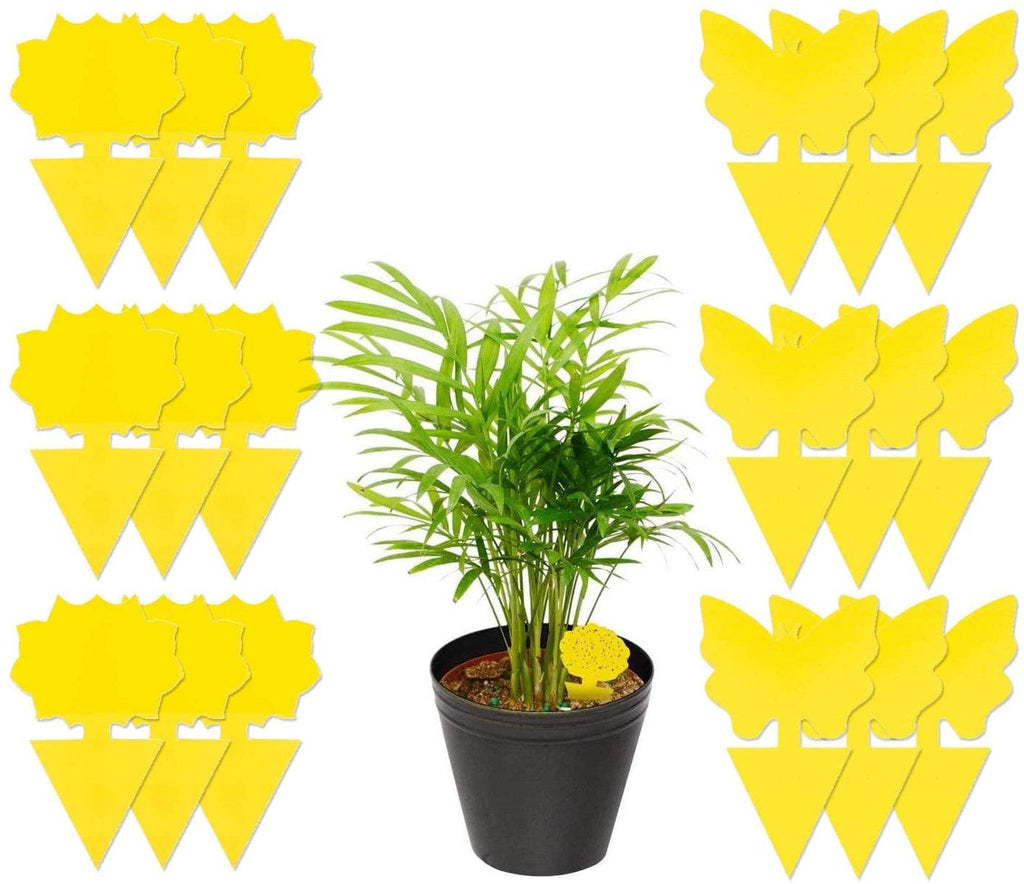 18 pcs, 48 pcs Sticky Fruit Fly Traps, Non-Toxic Fungus Gnat Killer Trap use for Indoor Outdoor