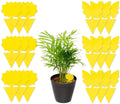 18 pcs, 48 pcs Sticky Fruit Fly Traps, Non-Toxic Fungus Gnat Killer Trap use for Indoor Outdoor
